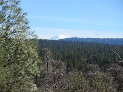 12470 Squirrel, Whitmore, CA 96096 photo 7