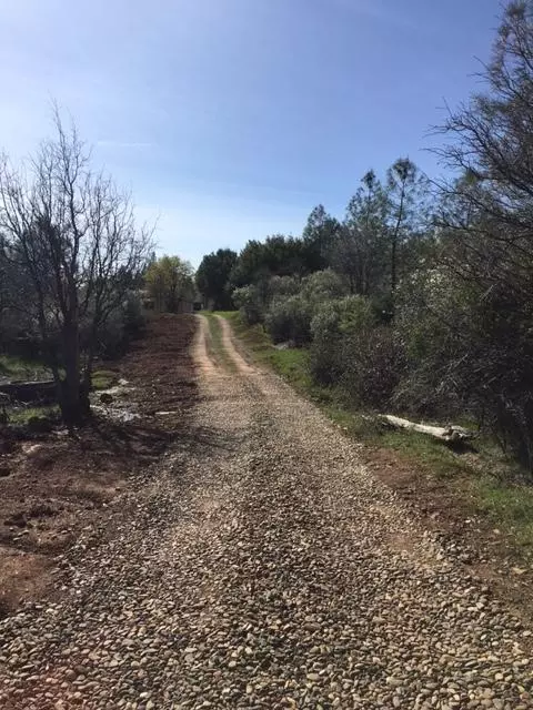 12470 Squirrel, Whitmore, CA 96096 photo 13