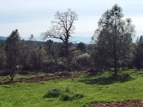 12470 Squirrel, Whitmore, CA 96096 photo 17