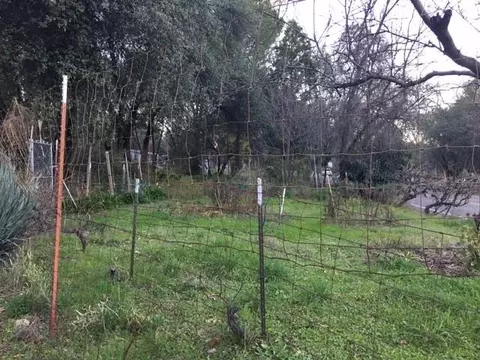 9946 Harley Leighton Rd, Redding, CA 96003 photo 4