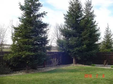 3403 Nathan Dr, Anderson, CA 96007 photo 7