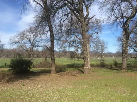 11602 Mae Ln, Redding, CA 96003 photo 1