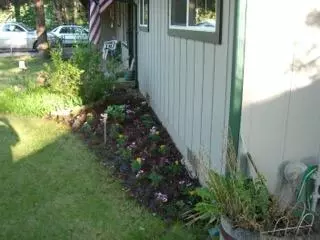 37346 Cypress Ave, Burney, CA 96013 photo 23
