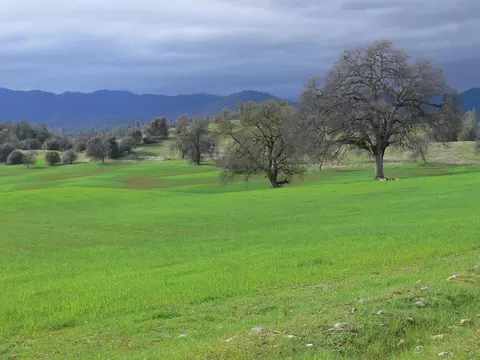 11647 Platina Rd, Ono, CA 96047 photo 75