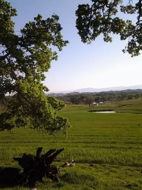 11647 Platina Rd, Ono, CA 96047 photo 51