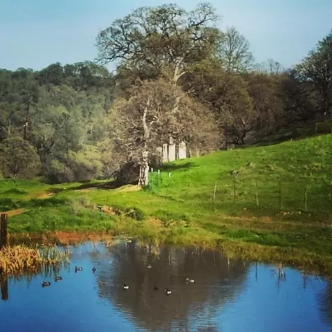 11647 Platina Rd, Ono, CA 96047 photo 6