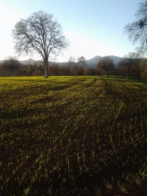 11647 Platina Rd, Ono, CA 96047 photo 48