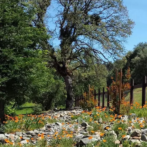 11647 Platina Rd, Ono, CA 96047 photo 33