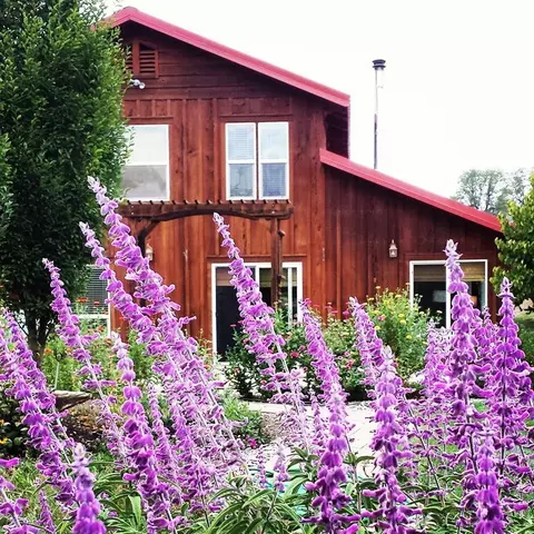 11647 Platina Rd, Ono, CA 96047 photo 27