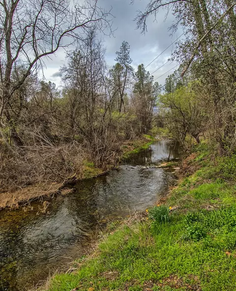 2550 Baier Rd, Redding, CA 96003 photo 26