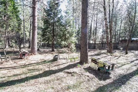 14944 Phillips Rd, Oak Run, CA 96069 photo 2