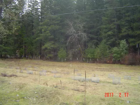 3431 State Highway 3, Hayfork, CA 96041 photo 11