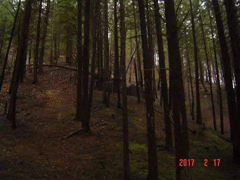 3431 State Highway 3, Hayfork, CA 96041 photo 24