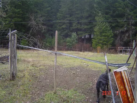 3431 State Highway 3, Hayfork, CA 96041 photo 10