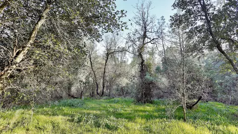 12199 Lake, Redding, CA 96003 photo 27