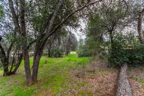 12651 Williamson Rd, Redding, CA 96003 photo 30