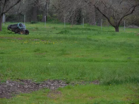 19270 Anna Rd, Anderson, CA 96007 photo 30