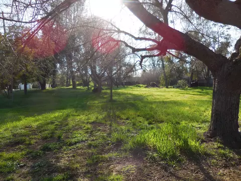 19270 Anna Rd, Anderson, CA 96007 photo 7
