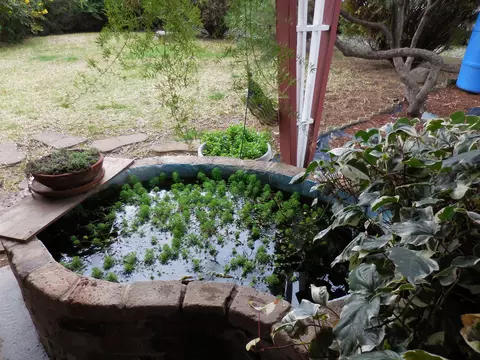 19270 Anna Rd, Anderson, CA 96007 photo 27