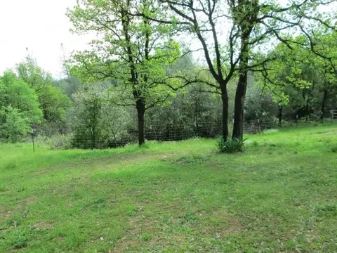 10169 Old Oregon Trl, Redding, CA 96003 photo 2