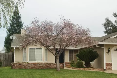 1977 Catherine Way, Redding, CA 96002 photo 15