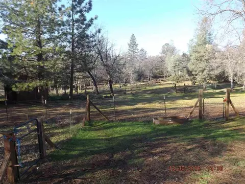 21135 Rolling Hills Rd, Manton, CA 96059 photo 16