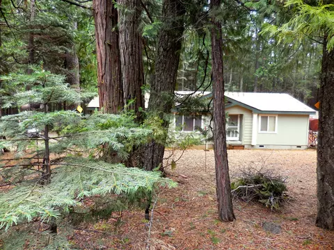 8180 Pony Express Ln, Shingletown, CA 96088 photo 24