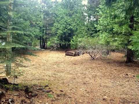 8180 Pony Express Ln, Shingletown, CA 96088 photo 17