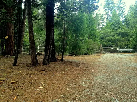 8180 Pony Express Ln, Shingletown, CA 96088 photo 15