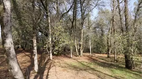 19442 Palermo, Redding, CA 96003 photo 9