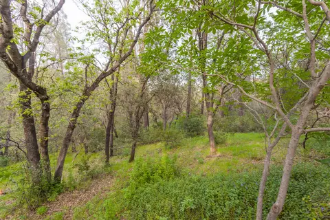 9681 Swasey Dr, Redding, CA 96001 photo 27