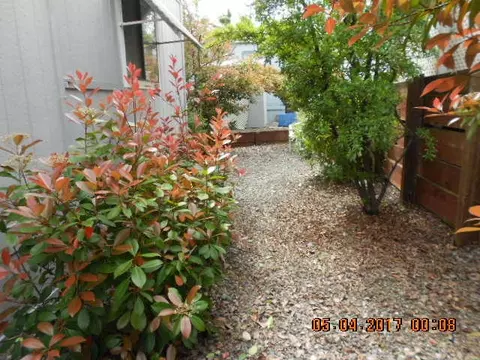 1174 Big Bear Path, Redding, CA 96003 photo 13