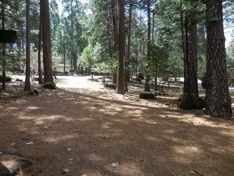 30748 Thumper Dr, Shingletown, CA 96088 photo 8