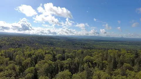 27775 Donkey Mine Rd, Oak Run, CA 96069 photo 29