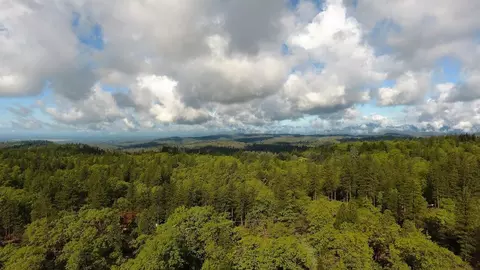 27775 Donkey Mine Rd, Oak Run, CA 96069 photo 4