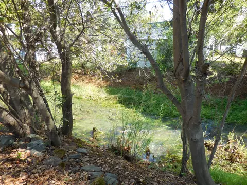 1244 Mountain Shadows Blvd, Redding, CA 96003 photo 30