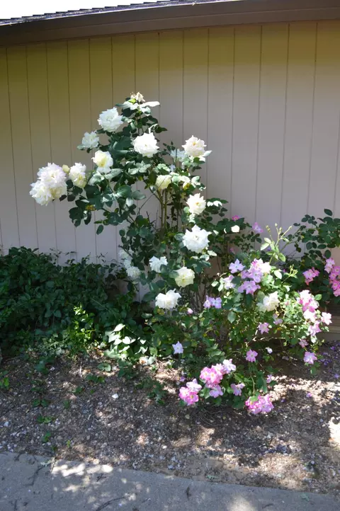 9947 Harley Leighton Rd, Redding, CA 96003 photo 22