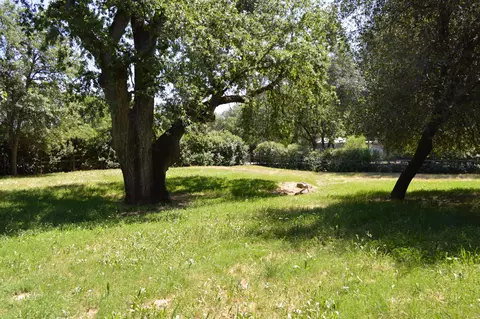 9947 Harley Leighton Rd, Redding, CA 96003 photo 24