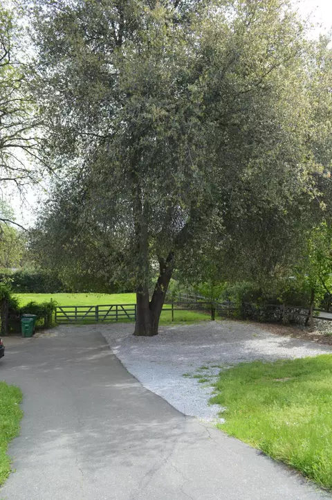 9947 Harley Leighton Rd, Redding, CA 96003 photo 17