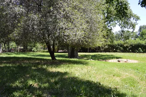 9947 Harley Leighton Rd, Redding, CA 96003 photo 21