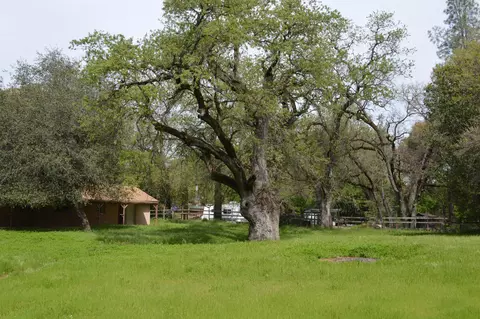 9947 Harley Leighton Rd, Redding, CA 96003 photo 16
