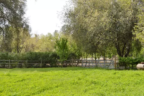 9947 Harley Leighton Rd, Redding, CA 96003 photo 18