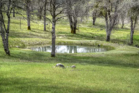 16249 Buzzard Roost Rd, Oak Run, CA 96069 photo 33