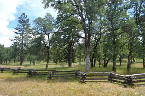 16249 Buzzard Roost Rd, Oak Run, CA 96069 photo 37
