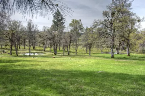 16249 Buzzard Roost Rd, Oak Run, CA 96069 photo 35