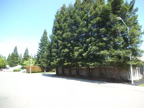 3293 Leonard St, Redding, CA 96002 photo 4