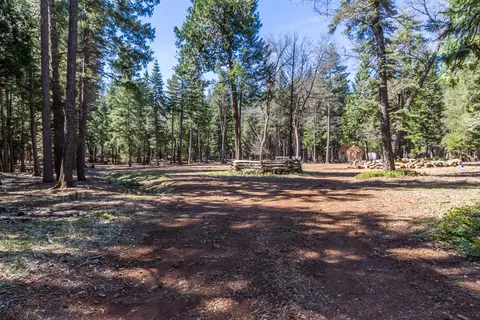 34643 Emigrant Trl, Shingletown, CA 96088 photo 30