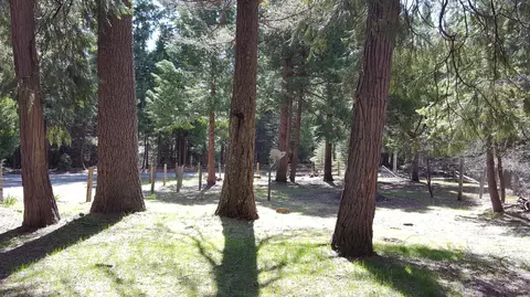 9294 Thatcher Mill Rd, Shingletown, CA 96088 photo 42
