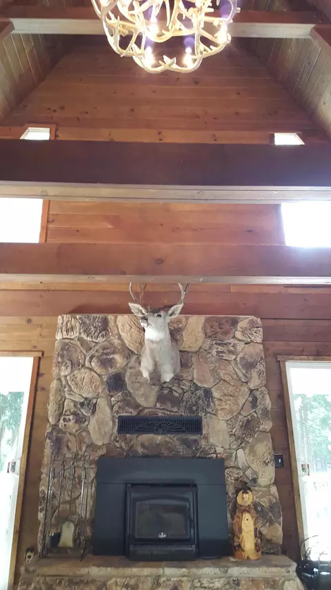 9294 Thatcher Mill Rd, Shingletown, CA 96088 photo 21