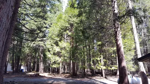9294 Thatcher Mill Rd, Shingletown, CA 96088 photo 43